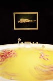 townlodge09.jpg